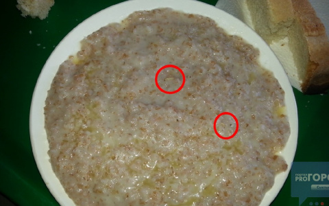 В столовой сыктывкарского вуза студенту подали кашу, кишащую червями (фото)