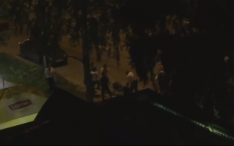 В Сыктывкаре толпа мужчин устроила побоище палками возле донарной (видео)