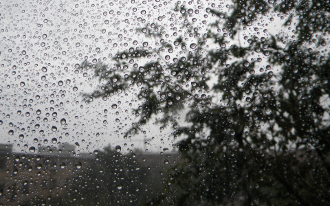 Синоптики рассказали, какая погода будет в Сыктывкаре на последней неделе лета