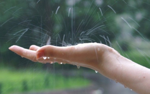 Погода в Сыктывкаре 26 августа: солнце и тучи будут сменять друг друга