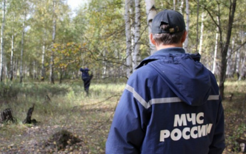 Жительница Коми три дня блуждала в тайге