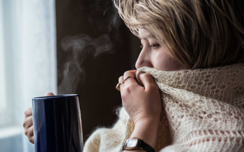 Погода в Сыктывкаре на 29 августа: погода будет такой же прохладной, что и в понедельник