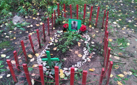 Жителей Коми напугало кладбище домашних животных в парке