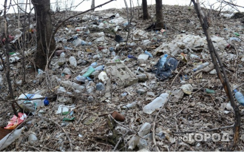 Жители Коми ищут свалки с помощью спутников