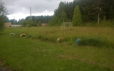 В Сыктывкаре разрушили стадион, на котором тренировались чемпионы (фото)