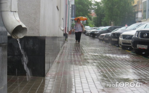 Погода в Сыктывкаре 1 сентября: будет теплый дождь