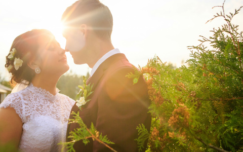 Стали известны имена победительниц в конкурсе «Самая красивая невеста» на портале PG11.ru
