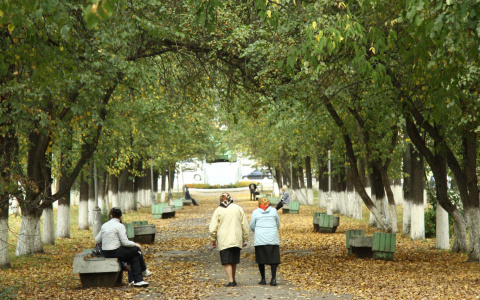 Погода в Сыктывкаре 3 сентября: осень у порога