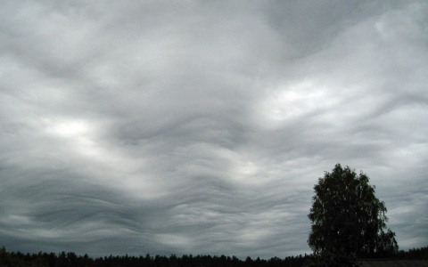 Погода в Сыктывкаре 4 сентября: целый день мы не увидим солнца