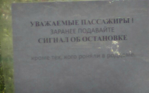 В Сыктывкаре пассажиров автобуса оскорбила шутка водителя