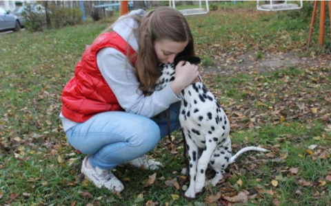Погода в Сыктывкаре 6 сентября: хорошая пора для прогулок