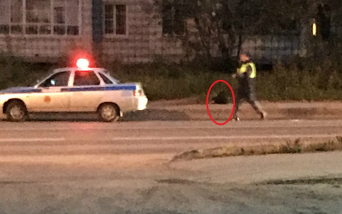 Из-за угрозы взрыва полиция Сыктывкара оцепила улицу (фото)