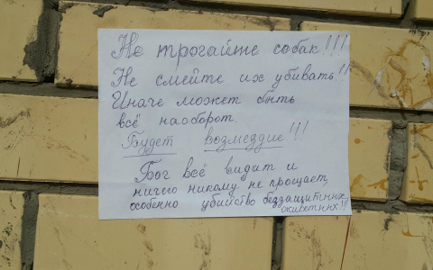 В Коми зоозащитники угрожают возмездием всем убийцам собак
