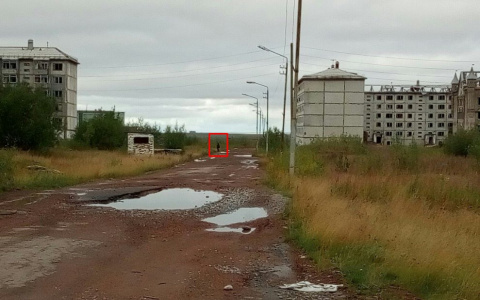 В Коми сняли видео о заброшенном посёлке, в котором обитают призраки (фото, видео)