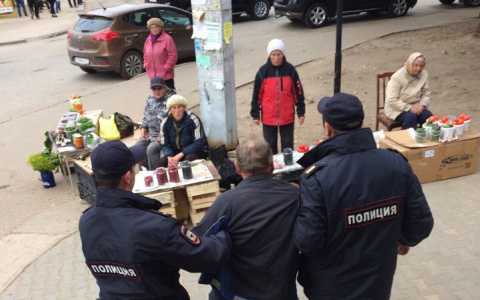 В Сыктывкаре подполковник устроил дебош в магазине кур-гриль (фото)