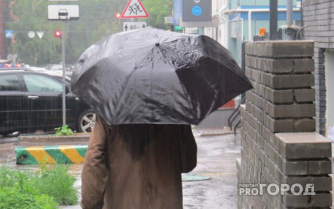Погода в Сыктывкаре 8 сентября: осадки неизбежны