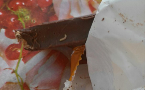 В Сосногорске женщина купила конфеты, кишащие червями