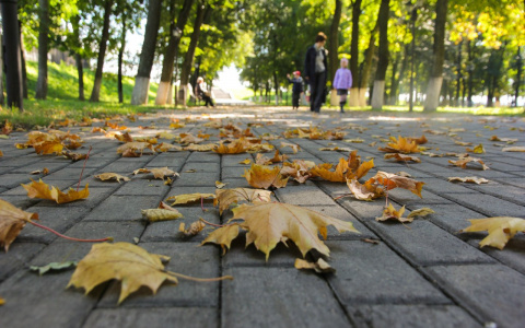 Погода в Сыктывкаре на 10 сентября: дожди отступают