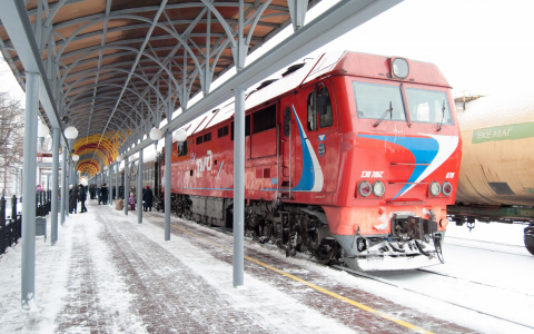 Школьница родила в поезде Москва-Лабытнанги и выбросила младенца на рельсы