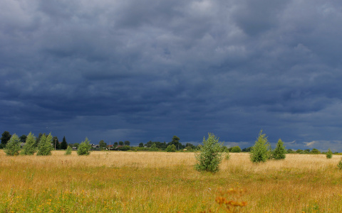 Погода в Сыктывкаре 15 сентября: просыпаемся под раскаты грома