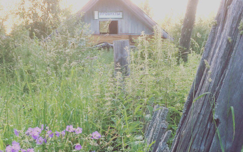 Жители Коми выложили в сеть фото деревни-призрака