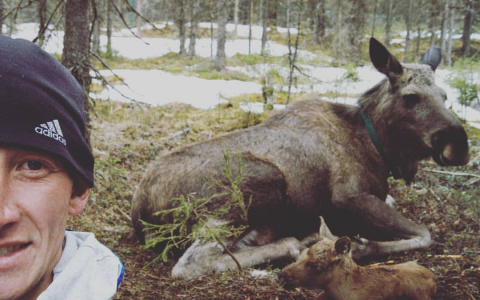 Дикая ситуация из Коми, где судят работников лосефермы, шокировала жителей России