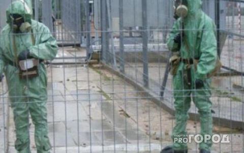 Почти все кладбища животных на территории Коми опасны для людей