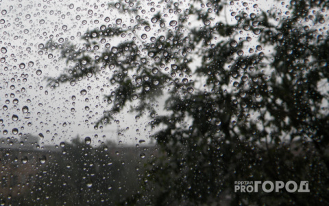 Стало известно, какая погода в Коми будет на следующей неделе