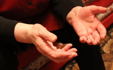 Сыктывкарец на пилораме до смерти избил своего коллегу