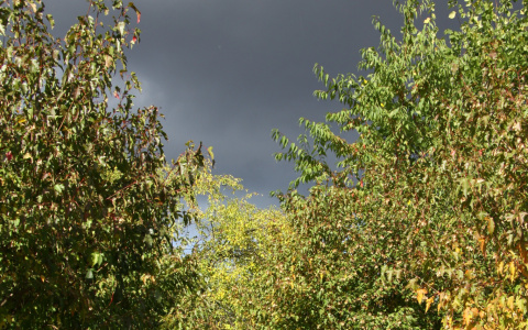 Погода в Сыктывкаре на 18 сентября: сухо, но холодно