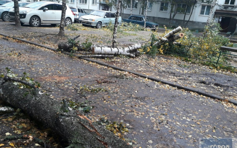 Синоптики рассказали, когда в Сыктывкаре может повториться сильный субботний шторм