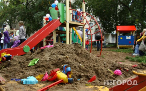 В Коми дети нашли в песочнице кости медведя