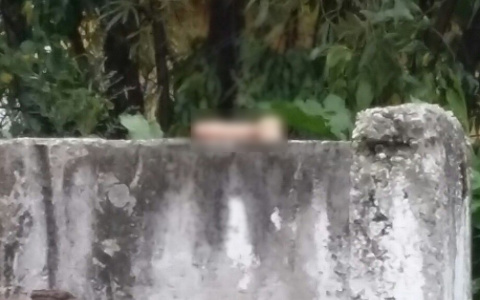 Сыктывкарцев поразила секс-игрушка, которая лежала у всех на виду на свалке (фото)