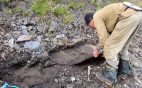 В Коми нашли останки неизвестных древних животных (видео)