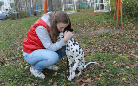 Погода в Сыктывкаре 21 сентября: снова можно гулять