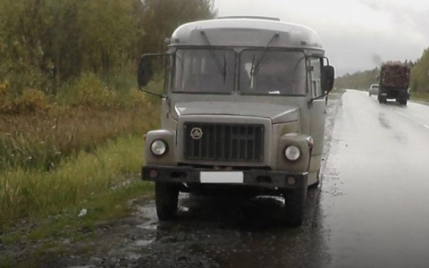 Жителя Коми на трассе снес автобус