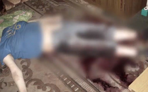 Убийца из Коми рассказал на камеру, как заколол свою сожительницу (видео)