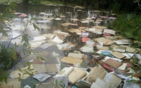 В Коми история с плавающими в ручье документами получила продолжение