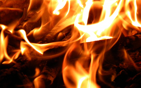 На даче в Сыктывкаре заживо сгорел мужчина