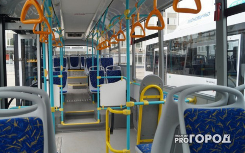 В Сыктывкаре в 2018 году может снова подорожать проезд