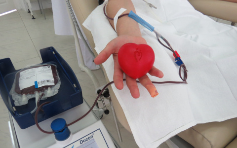 Жители Коми в панике ищут донорскую кровь для ребенка, которого не существует