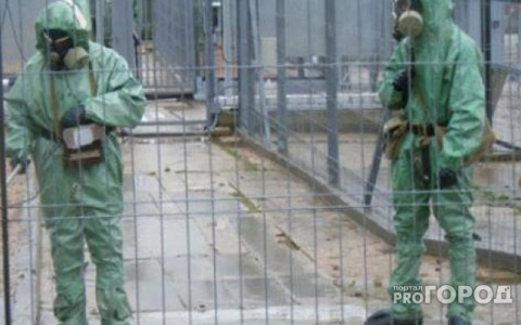 В Коми нашли скотомогильник с сибирской язвой