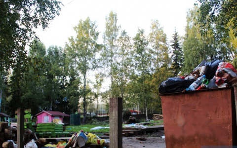 Вонючий парк в Сыктывкаре: как планируют исправить проблему при благоустройстве?