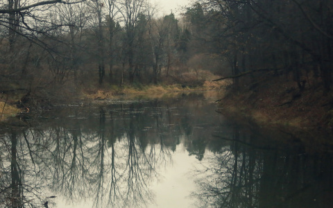 Погода в Сыктывкаре 26 сентября: холодный ветер с дождем