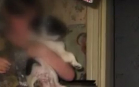 В Сыктывкаре отчим выстрелил в девочку в воспитательных целях (видео)