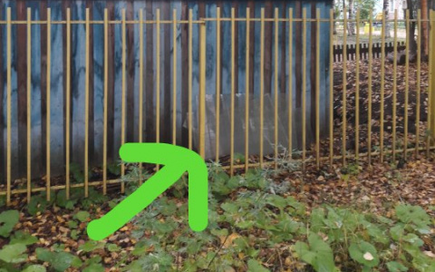 В Сыктывкаре в детсаду малышам угрожает огромный кусок стекла