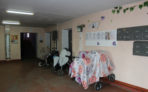 В Коми молодая мать нашла в коляске своего ребенка умирающую кошку