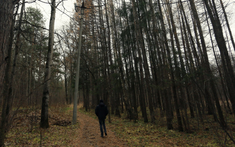 Погода в Сыктывкаре 27 сентября: пасмурно, хотя дождя не ожидается