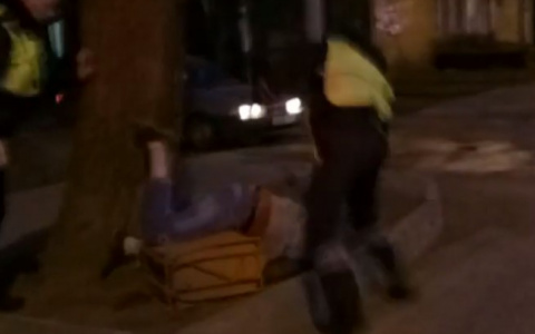 В Сыктывкаре дебошир в схватке с полицейскими ударился об дерево и отключился (видео)