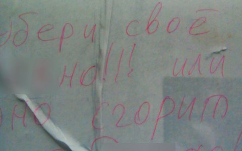 В Коми девушке угрожают за парковку авто весьма нетрадиционным способом (фото)